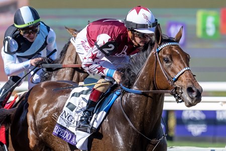 Thorpedo Anna wins the Breeders' Cup Distaff at Del Mar 