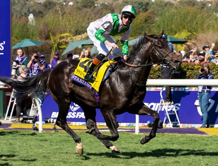 Starlust wins the 2024 Breeders' Cup Turf Sprint at Del Mar