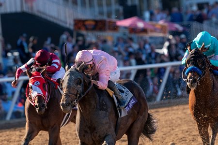 Sierra Leone wins the 2024 Breeders' Cup Classic at Del Mar—one of a small number of American grade 1 races simulcast to Hong Kong last year