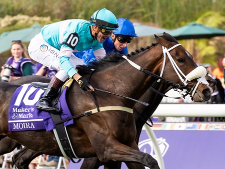 Moira wins the Breeders' Cup Filly & Mare Turf at Del Mar