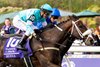 Moira with Flavien Prat wins the Filly &amp; Mare Turf (G1T) at Del Mar Racetrack in Del Mar, CA on November 2, 2024.