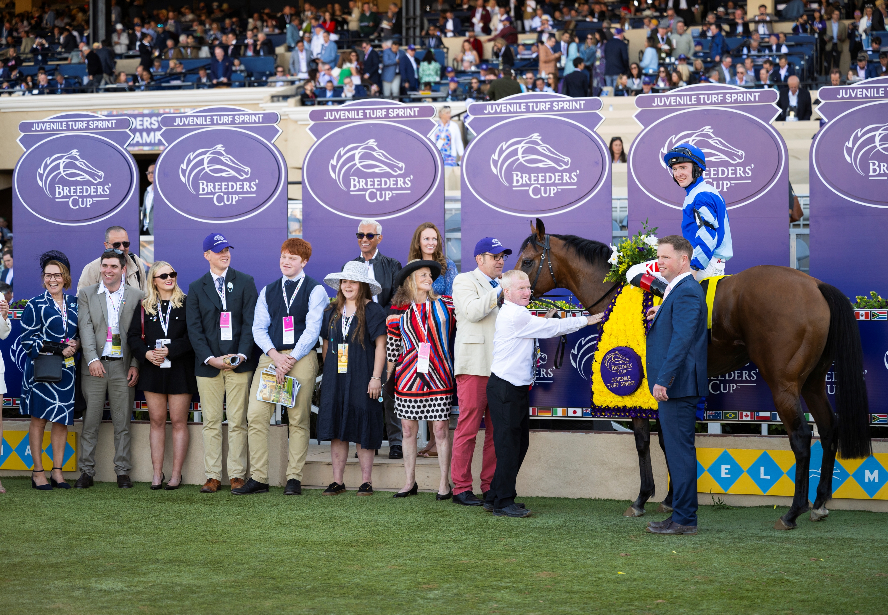 2024 Breeders' Cup Slideshow - Slideshow - BloodHorse