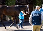 Breeders’ Cup scene at Del Mar Racetrack in Del Mar, CA on November 1, 2024.