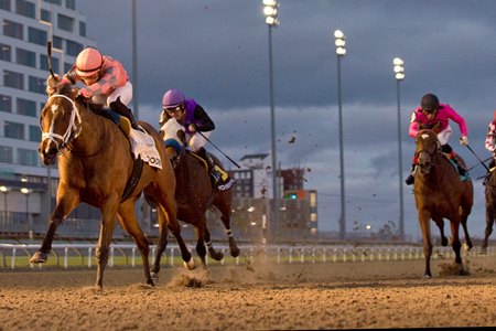 The track surface plus training and veterinary practices have come under scrutiny at Woodbine after three fatal breakdowns in November