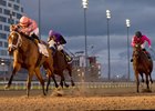 The track surface plus training and veterinary practices have come under scrutiny at Woodbine after three fatal breakdowns in November