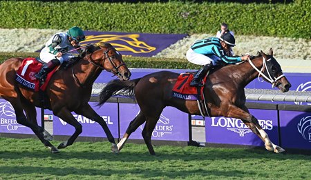 Nobals wins the 2023 Breeders' Cup Turf Sprint at Santa Anita Park