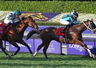 Santa Anita Breeders Cup 4-November-2023. Turf Sprint.
Nobals and Gerardo Corrales win for trainer Larry Rivelli.
Healy Racing-focusonracing.com 