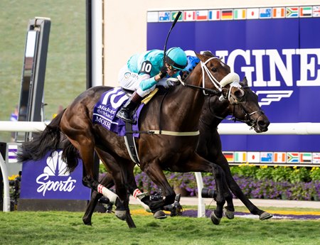 Moira wins the Breeders' Cup Filly & Mare Turf at Del Mar