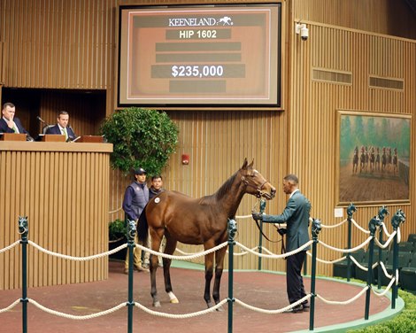 McKinzie Colt Rewards Areion in Book 3 at Keeneland