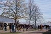 Scenics, 2024 Keeneland HORA November Sale