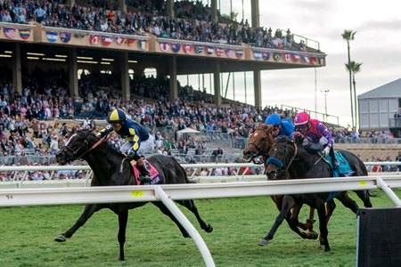 More Than Looks outfinishes Johannes (rail) and Notable Speech to win the Breeders' Cup Mile at Del Mar