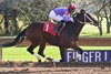 Blamicker, Maiden Win, Finger Lakes, October 28 2024