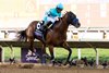 Citizen Bull with Martin Garcia wins the Juvenile (G1) at Del Mar Racetrack in Del Mar, CA on November 1, 2024.