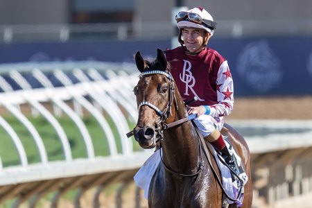 Thorpedo Anna after winning the Breeders' Cup Distaff at Del Mar