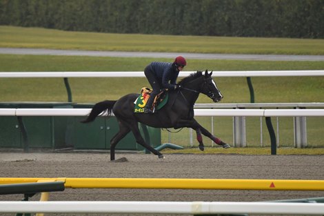 Japan Racing Association to Celebrate Auguste Rodin