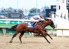Barnes rallies to edge Innovator (obscured) to win his debut at Churchill Downs