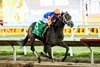 Bullard and jockey Umberto Rispoli win the Grade III $100,000 Bob Hope Stakes Sunday, November 17, 2024 at Del Mar Thoroughbred Club, Del Mar, CA
Benoit Photo