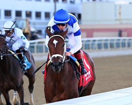 Stunner wins the Tempted Stakes at Aqueduct Racetrack