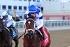 Stunner wins the 2024 Tempted Stakes at Aqueduct Racetrack