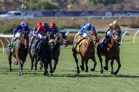 Kentucky-bred Governor Sam (far right) leads in the stretch of the Breeders' Cup Juvenile Turf Sprint but ultimately finishes third in a race dominated by Europeans at Del Mar