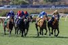 Magnum Force with Colin Keane  wins the Juvenile Turf Sprint (G1T) at Del Mar Racetrack in Del Mar, CA on November 1, 2024.