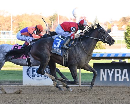 Generous Tipper wins the Discovery Stakes at Aqueduct Racetrack