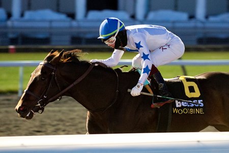 He's Not Joking wins the Grey Stakes at Woodbine