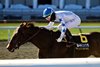 He&#39;s Not Joking wins the 2024 Grey Stakes at Woodbine Racetrack