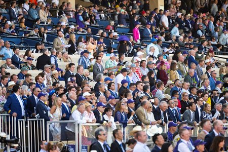 Fans pack the Del Mar grandstand for the 2024 Breeders' Cup