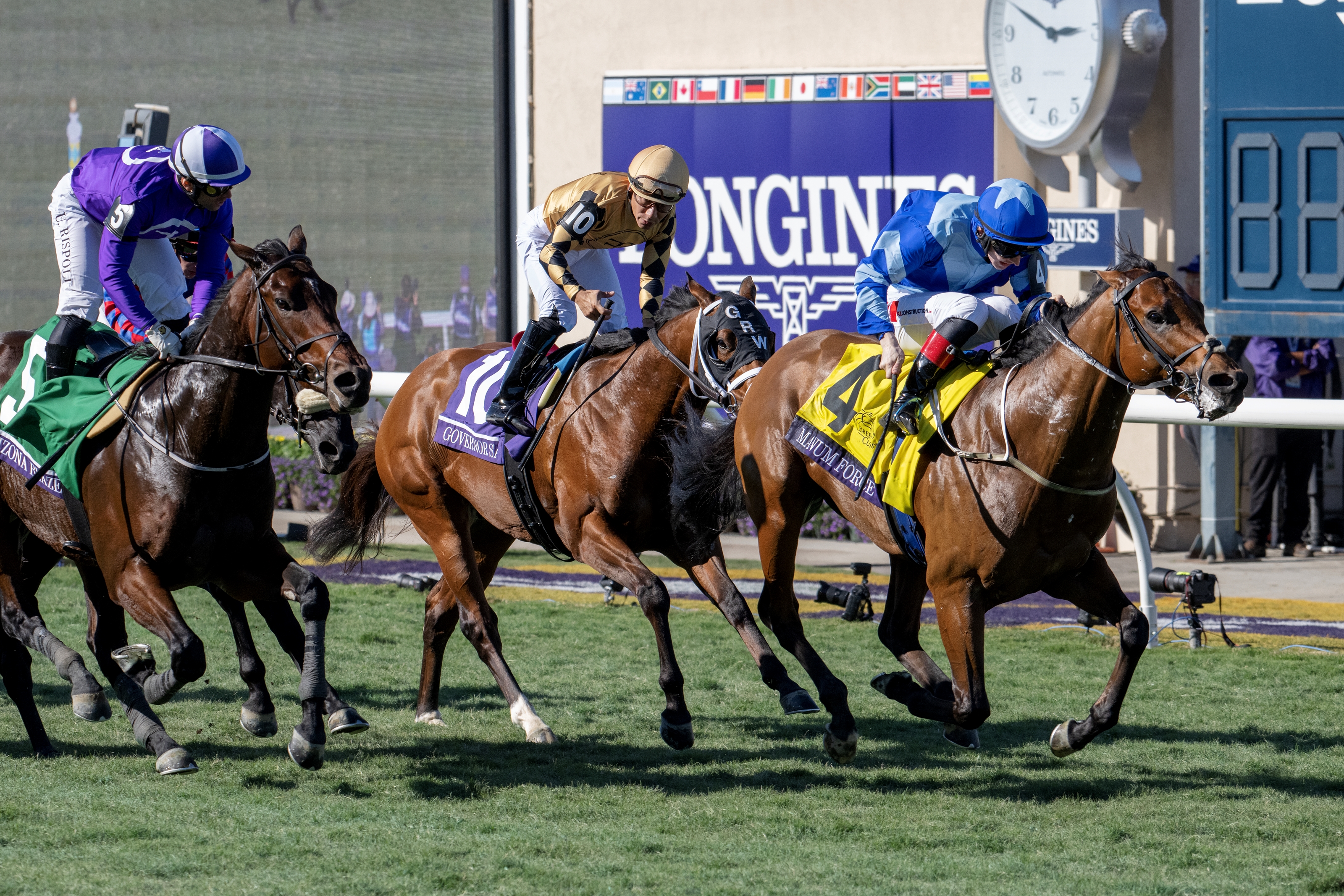 2024 Breeders' Cup Slideshow - Slideshow - BloodHorse