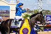 Rebel’s Romance with William Buick wins the Turf (G1T) at Del Mar Racetrack in Del Mar, CA on November 2, 2024.