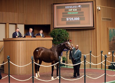 Veronica Greene in the sales ring at the Keeneland November Breeding Stock Sale 