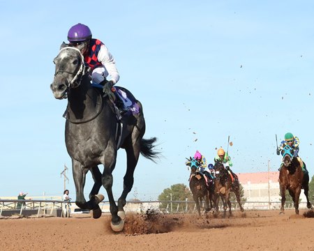 Reliable Source wins the Zia Park Princess Stakes at Zia Park