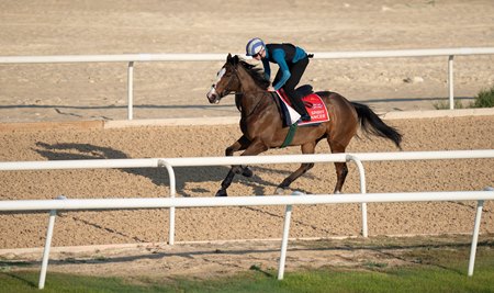 Spirit Dancer trains at Sakir Racecourse in Bahrain