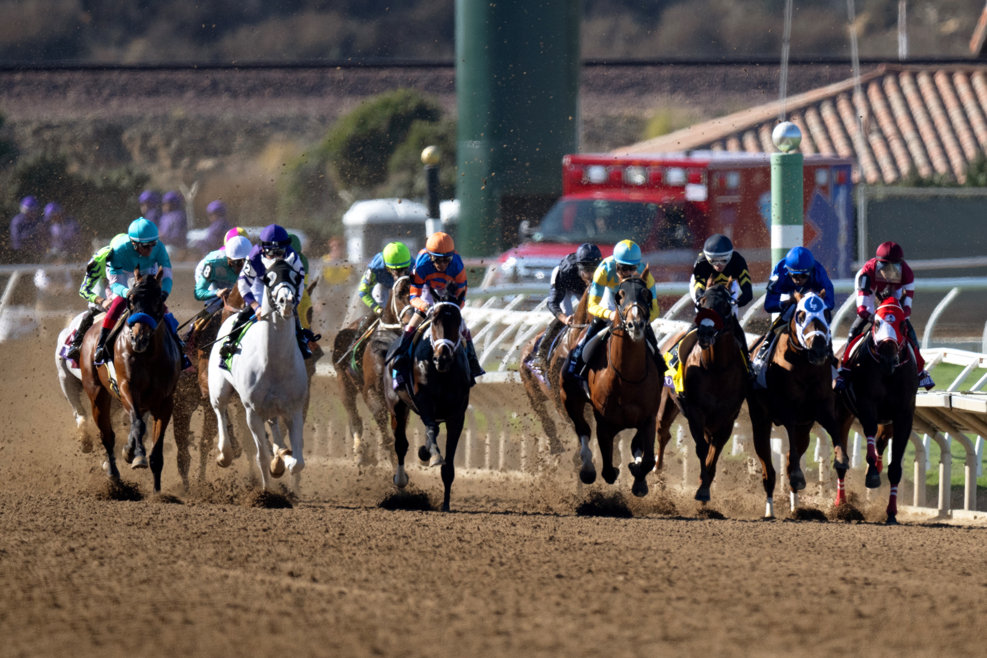 2024 BREEDERS' CUP まとめセット 2024 BREEDERS' CUP まとめセット 2024 BREEDERS' CUP まとめセット
