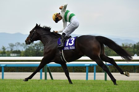 Soul Rush wins the Mile Championship at Kyoto Racecourse