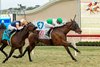 Augustin Stables’ Truly Quality and jockey Vincent Cheminaud, right, outgame Balnikhov (Kazushi Kimuri), left, to win the G2T $200,000 Hollywood Turf Cup Friday November 29, 2024 at Del Mar Thoroughbred Club, Del Mar, CA.
Benoit Photo