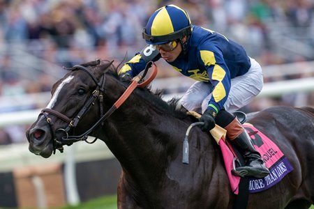 Jose Ortiz and More Than Looks win the Breeders' Cup Mile at Del Mar