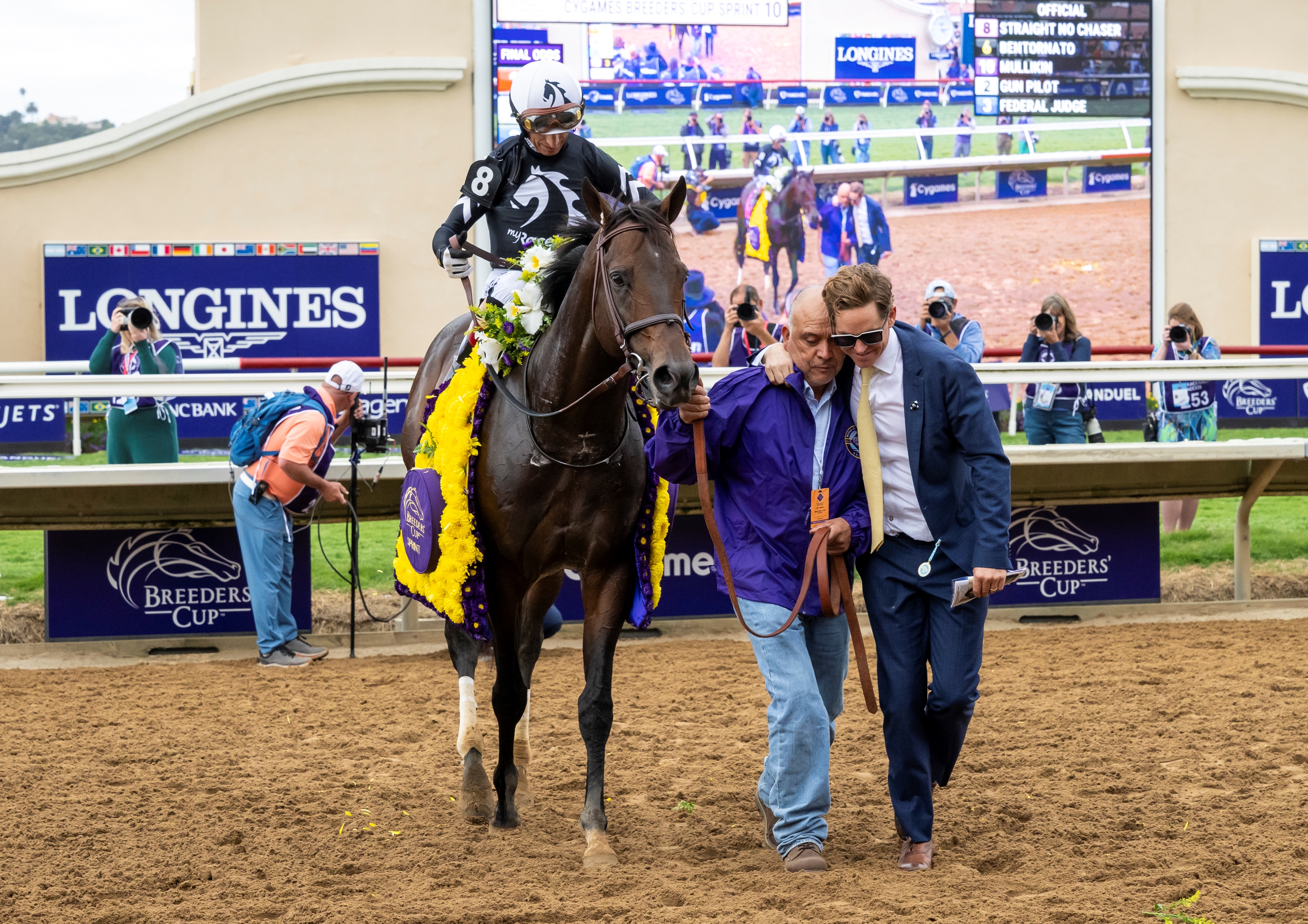 『1年保証』 Championship Earns Patience for BloodHorse - Chaser No Straight バトルスピリッツ
