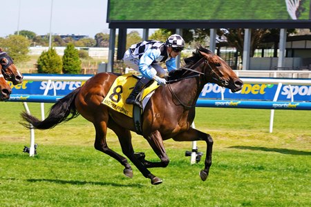 Another Prophet moves clear late to win the Thousand Guineas at Caulfield Racecourse