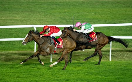 Spirit Dancer wins the Bahrain International Trophy at Bahrain Racecourse