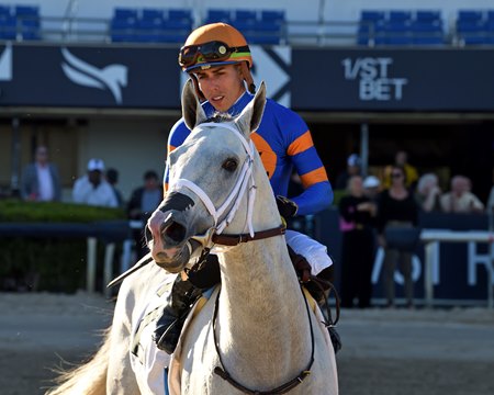 White Abarrio and jockey Irad Ortiz Jr. after winning a 2024 allowance race at Gulfstream Park