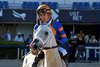 White Abarrio, AOC, Gulfstream Park, November 22 2024