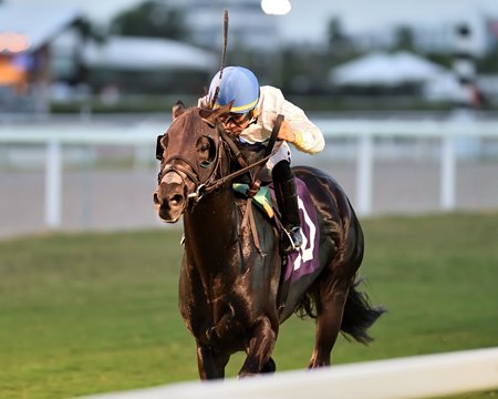 Silent Heart wins the Showing Up Stakes at Gulfstream Park