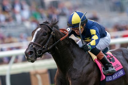 More Than Looks wins the 2024 Breeders' Cup Mile at Del Mar