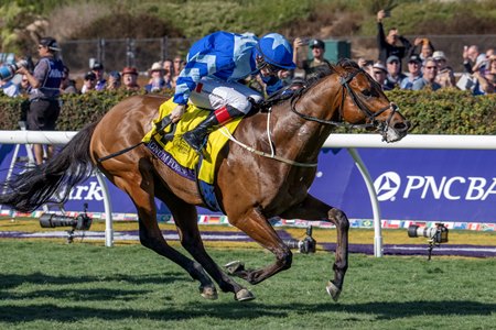 Magnum Force surges to the wire in the Breeders' Cup Juvenile Turf Sprint at Del Mar