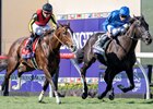 Rebel&#39;s Romance with William Buick wins the Turf (G1T) at Del Mar Racetrack in Del Mar, CA on November 2, 2024.