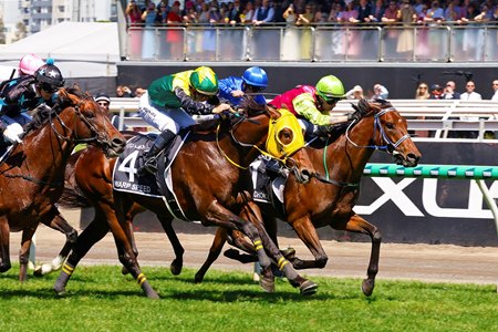 Knight's Choice (green cap) prevails in the Melbourne Cup at Flemington Racecourse