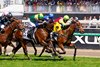 Knight&#39;s Choice wins the 2024 Melbourne Cup at Flemington Racecourse
ridden by Robbie Dolan and trained by Sheila Laxon &amp; John Symons