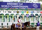 Breeders’ Cup scene at Del Mar Racetrack in Del Mar, CA on November 2, 2024.